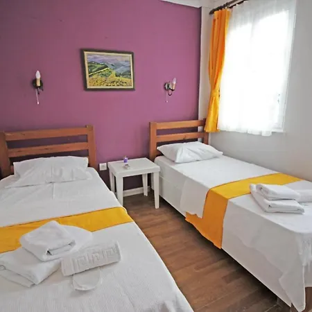 Eflatun Konuk Evi Penzion *