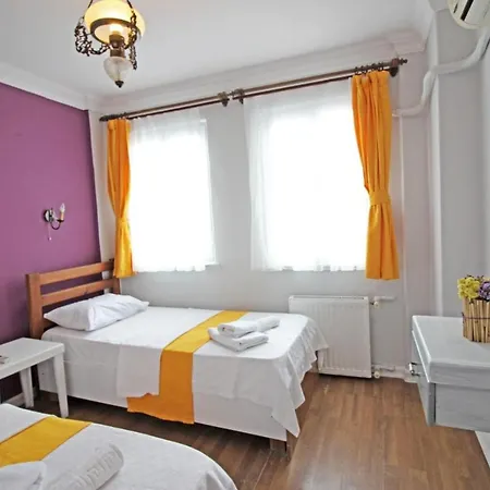 Eflatun Konuk Evi Penzion *